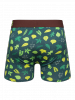 Forest Cabin - Mens Fitted Trunks - Good Mood